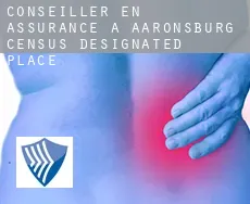 Conseiller en assurance à  Aaronsburg