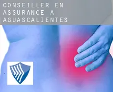 Conseiller en assurance à  Aguascalientes