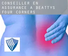 Conseiller en assurance à  Beattys Four Corners