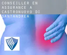 Conseiller en assurance à  Castronuovo di Sant'Andrea
