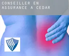 Conseiller en assurance à  Cedar