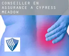 Conseiller en assurance à  Cypress Meadow