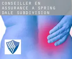 Conseiller en assurance à  Spring Dale Subdivision