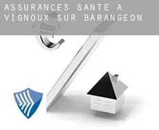Assurances santé à  Vignoux-sur-Barangeon