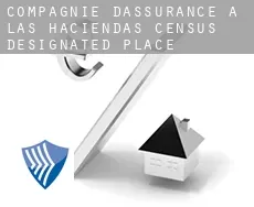 Compagnie d'assurance à  Las Haciendas
