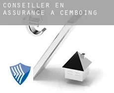 Conseiller en assurance à  Cemboing