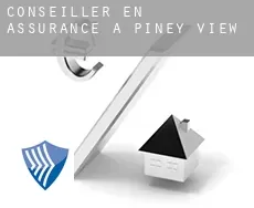 Conseiller en assurance à  Piney View