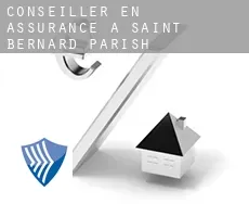 Conseiller en assurance à  Saint Bernard