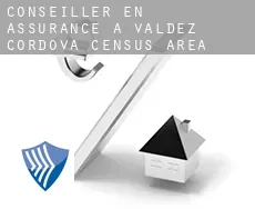Conseiller en assurance à Valdez-Cordova