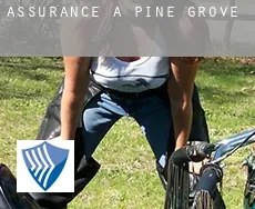 Assurance à  Pine Grove