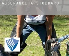Assurance à  Stoddard