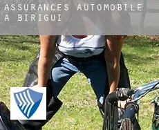 Assurances automobile à  Birigui
