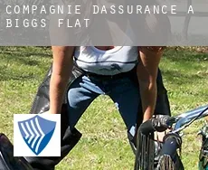 Compagnie d'assurance à  Biggs Flat