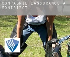 Compagnie d'assurance à Montribot