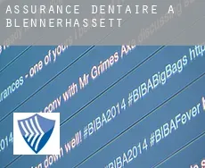 Assurance dentaire à  Blennerhassett