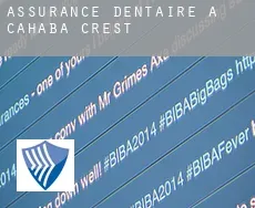 Assurance dentaire à Cahaba Crest