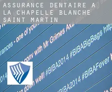 Assurance dentaire à La Chapelle-Blanche-Saint-Martin