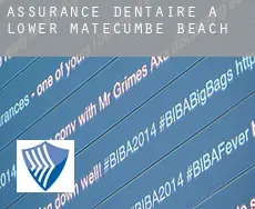 Assurance dentaire à Lower Matecumbe Beach