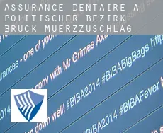 Assurance dentaire à Politischer Bezirk Bruck-Muerzzuschlag