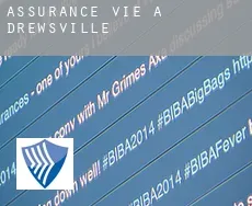 Assurance vie à Drewsville