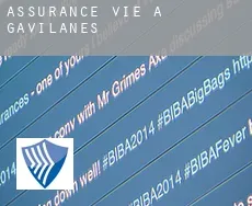 Assurance vie à  Gavilanes