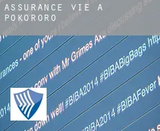 Assurance vie à  Pokororo