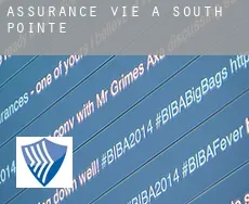 Assurance vie à South Pointe