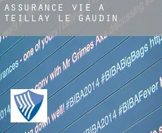 Assurance vie à Teillay-le-Gaudin