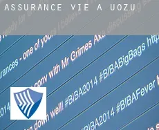 Assurance vie à Uozu