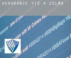 Assurance vie à  Zelma