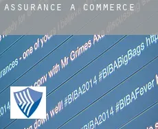 Assurance à  Commerce