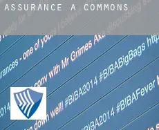 Assurance à  Commons