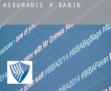 Assurance à Gąbin