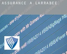 Assurance à  Larrabee