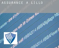 Assurance à  Lillo