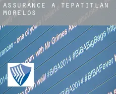 Assurance à Tepatitlán de Morelos