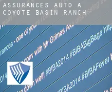 Assurances auto à  Coyote Basin Ranch