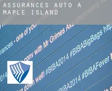 Assurances auto à  Maple Island