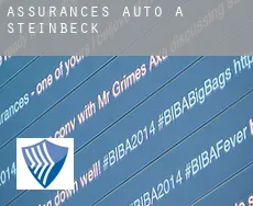 Assurances auto à  Steinbeck