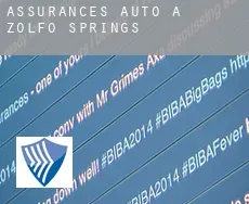 Assurances auto à  Zolfo Springs