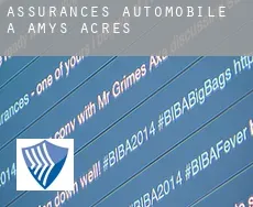 Assurances automobile à  Amys Acres