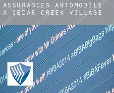 Assurances automobile à  Cedar Creek Village