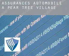 Assurances automobile à  Pear Tree Village