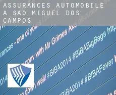 Assurances automobile à  São Miguel dos Campos