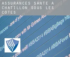 Assurances santé à Châtillon-sous-les-Côtes