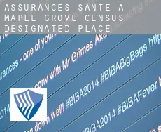 Assurances santé à  Maple Grove