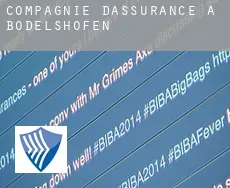 Compagnie d'assurance à  Bodelshofen