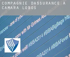 Compagnie d'assurance à  Câmara de Lobos
