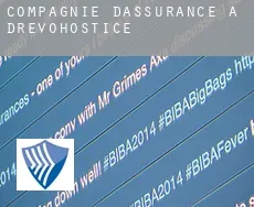 Compagnie d'assurance à Dřevohostice