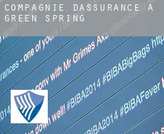 Compagnie d'assurance à  Green Spring